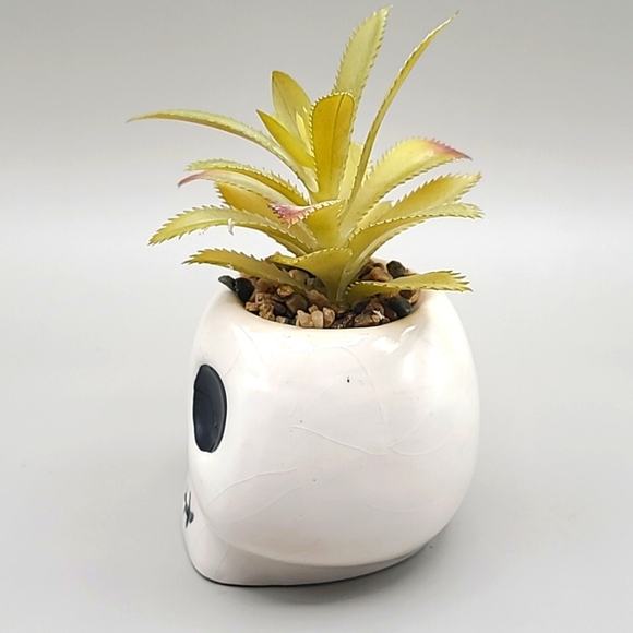 Skull Planter with Faux Plant - Picture 2 of 6
